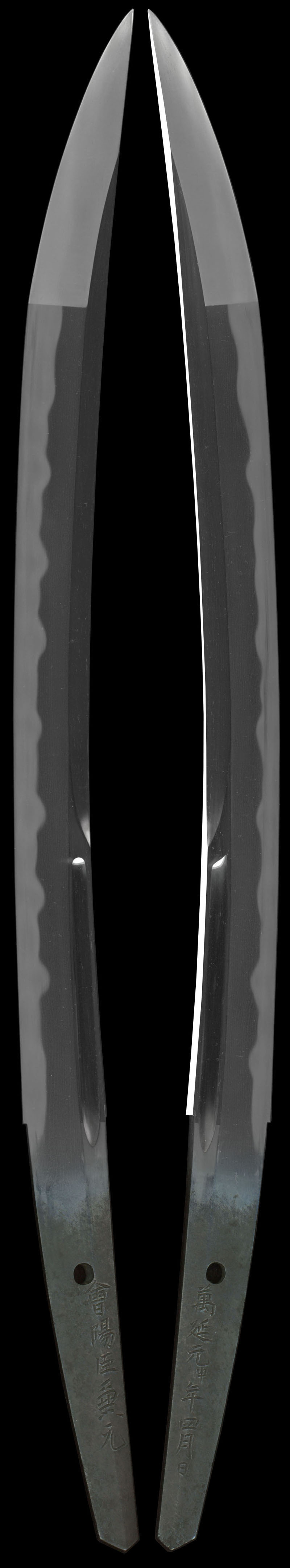 会陽臣兼元（十一代和泉守兼定）全体画像