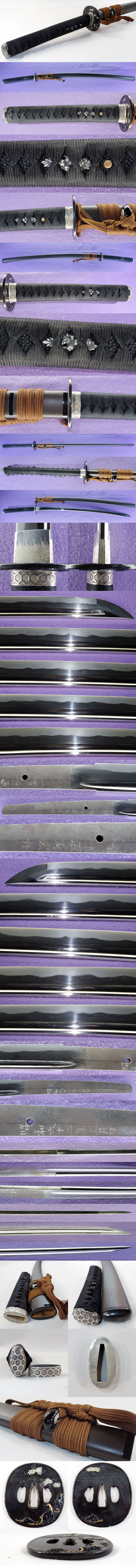 一貫斎源友宏作各部分画像