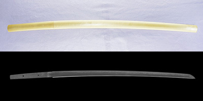 刀　勢州桑名藤(以下切) (藤原勝吉)  (千子派)
　　於播刕姫路(以下切)thumb