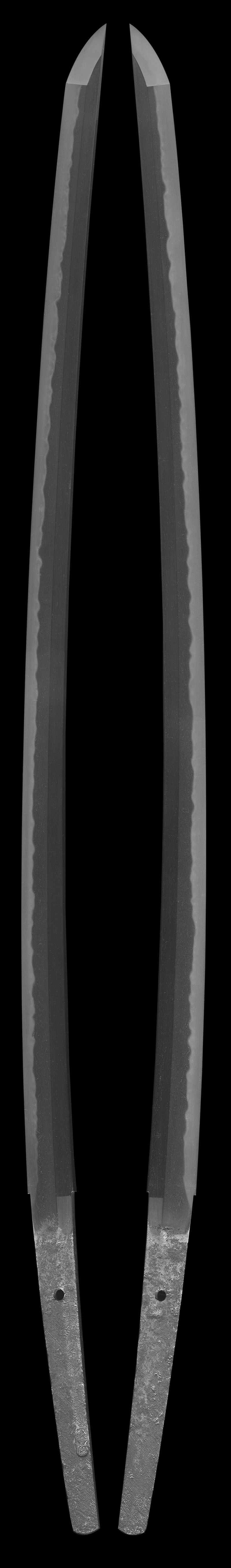 刀 作陽幕下士細川主税佐正義(刻印) (主税介正義) (新々刀 上々作) □□□□仲春全体画像