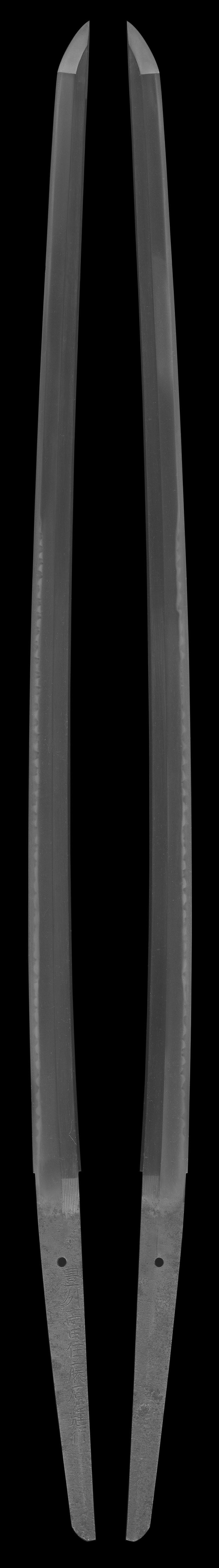 刀　豊州高田住藤原輝行 (業物)全体画像