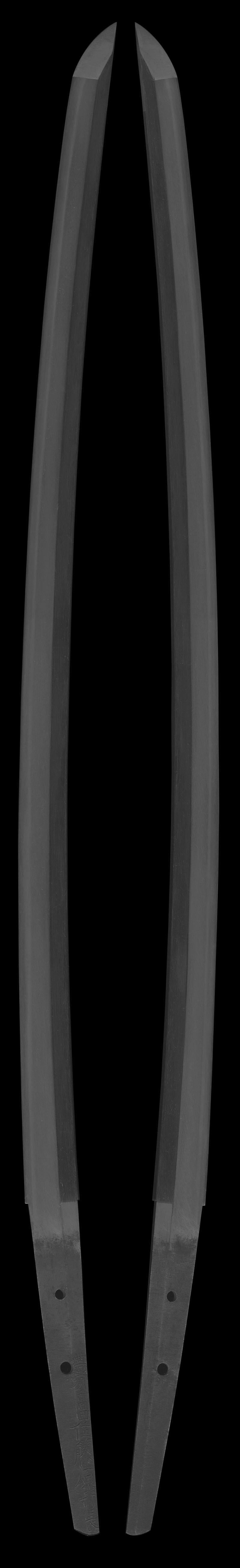 刀　豊州高田住藤原行長 (業物)全体画像