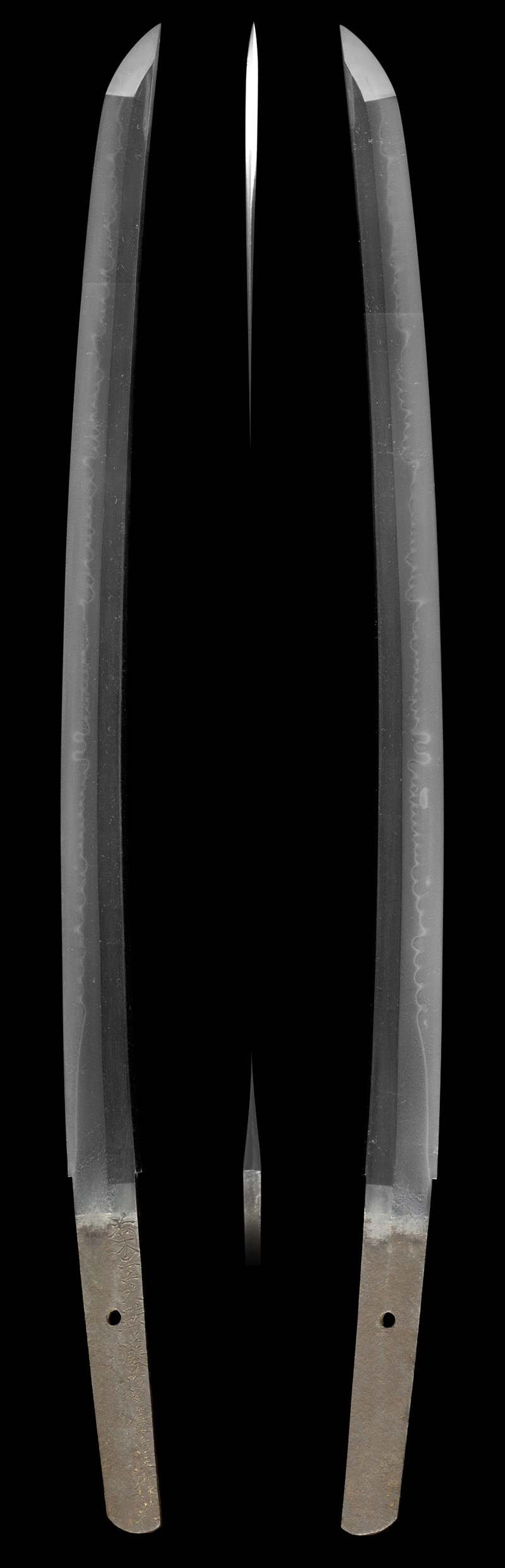 脇差 菊一文珠藤原金重作之(新々刀)全体画像