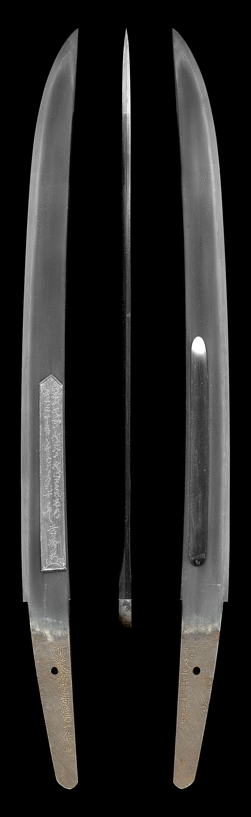 脇差 加藤運寿信一作之 (君が代の彫物) (運寿藤原是一門人・綾部藩工) 文久三年二月日全体画像