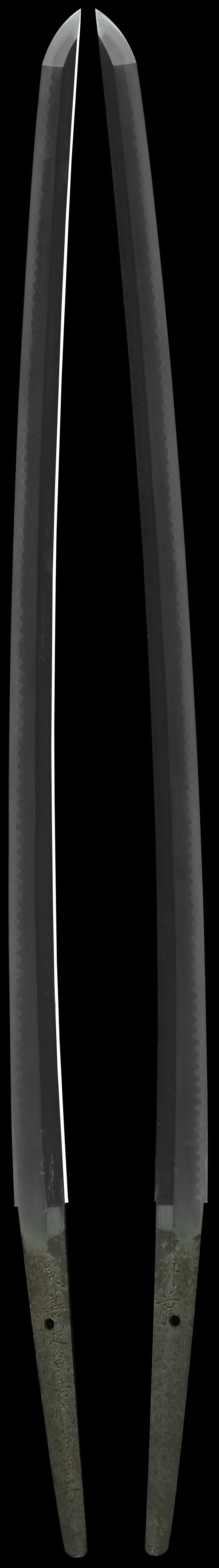 日本刀 刀 関善定兼吉門兼国子 外藤|日本刀 刀剣販売 e-sword 日本刀 刀 関善定兼吉門兼国子 外藤|日本刀 刀剣販売 e-sword