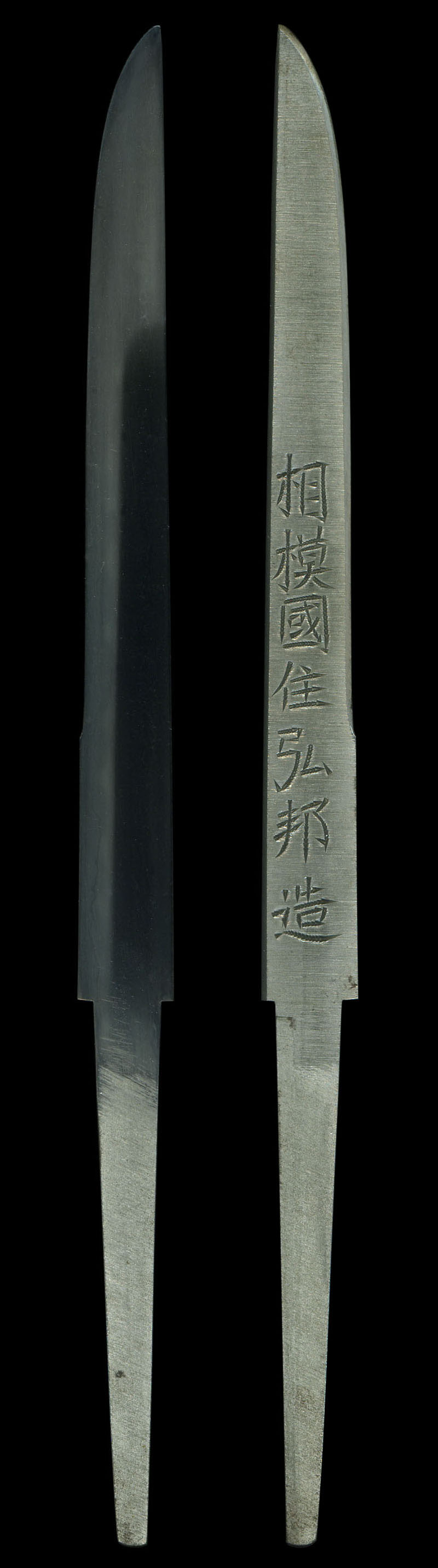 全体画像