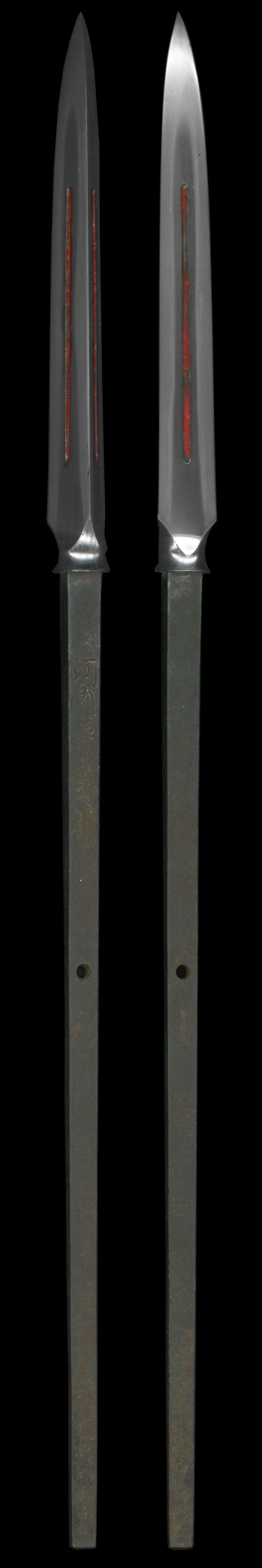 全体画像