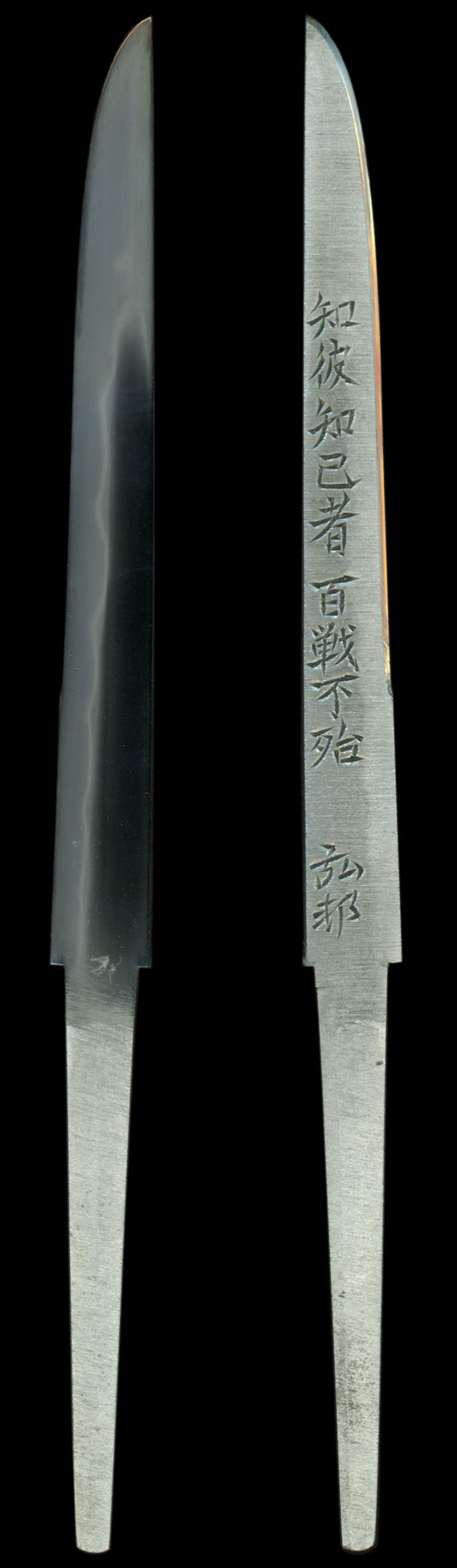 全体画像