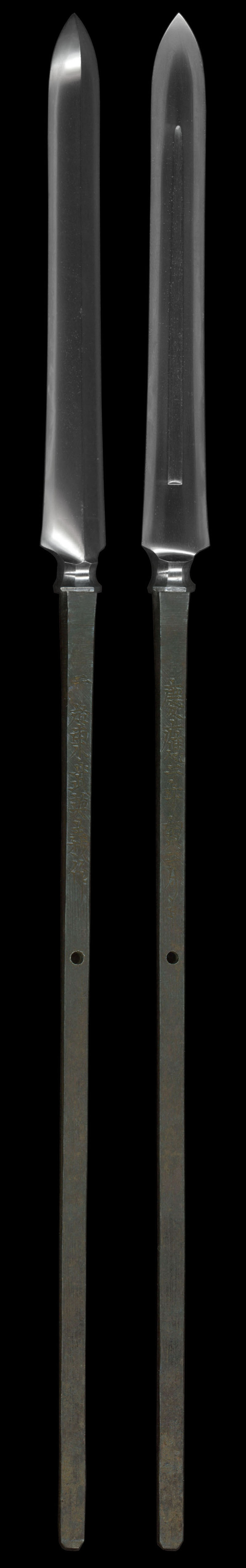 全体画像