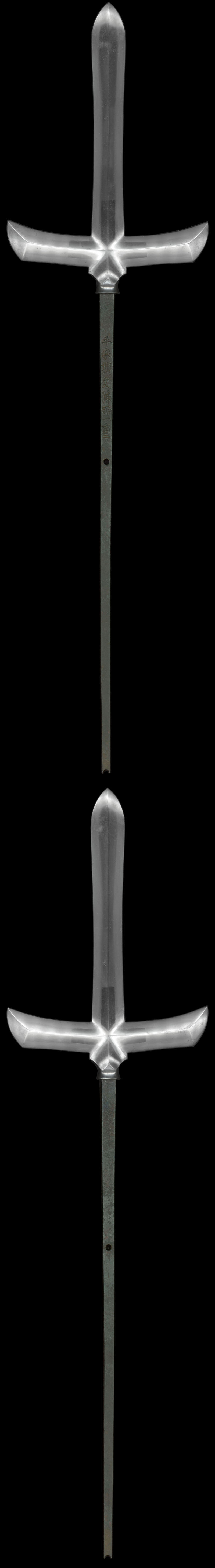 全体画像