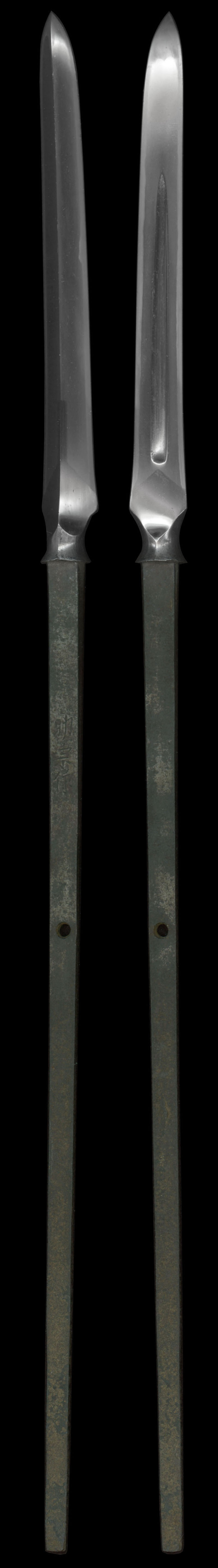 全体画像