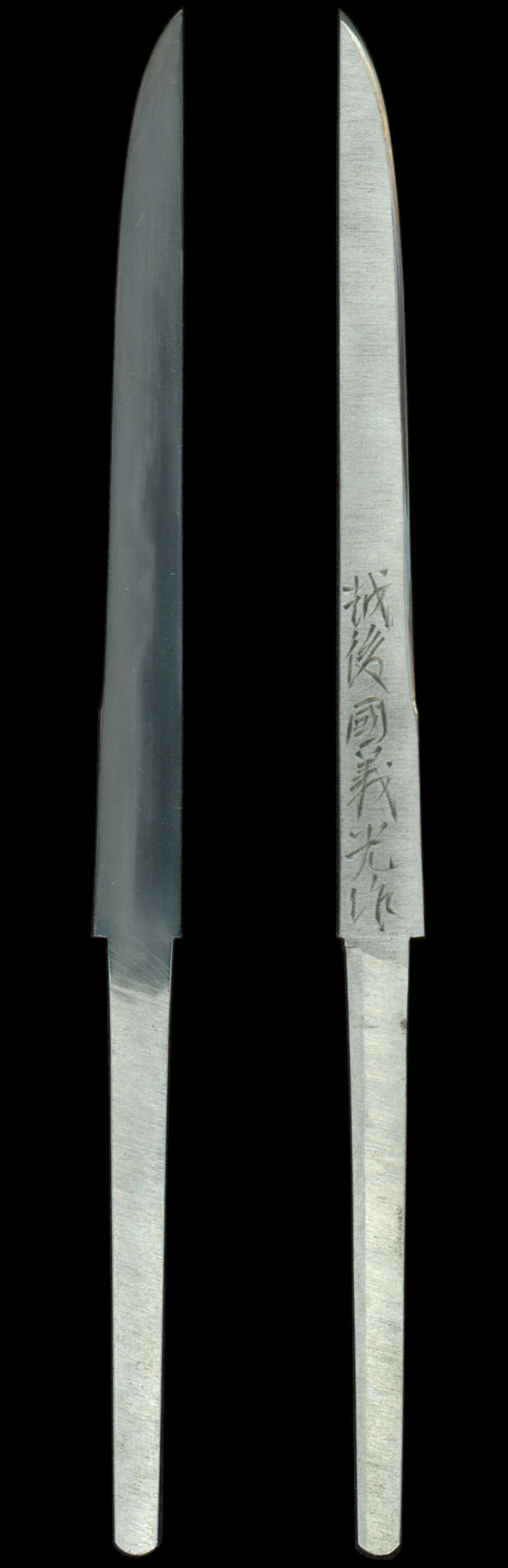 全体画像