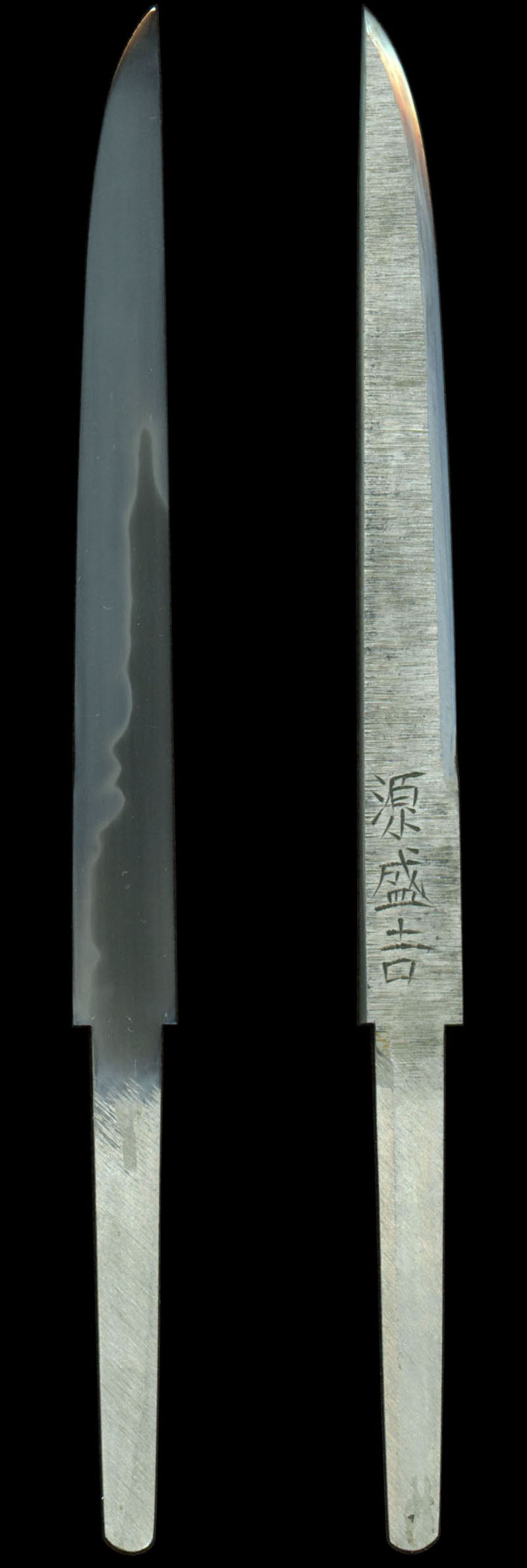 全体画像