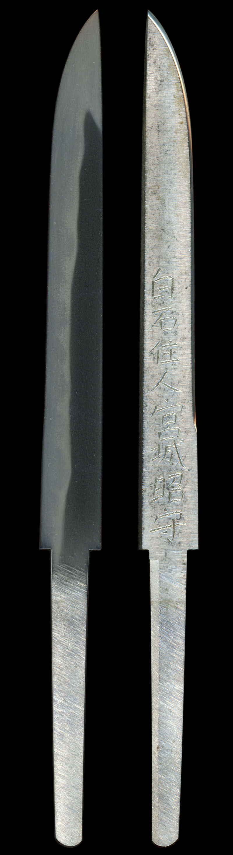 刃全体画像
