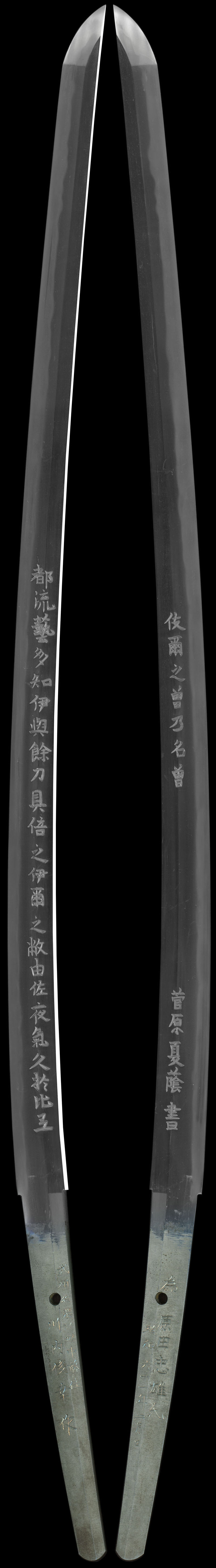 全体画像