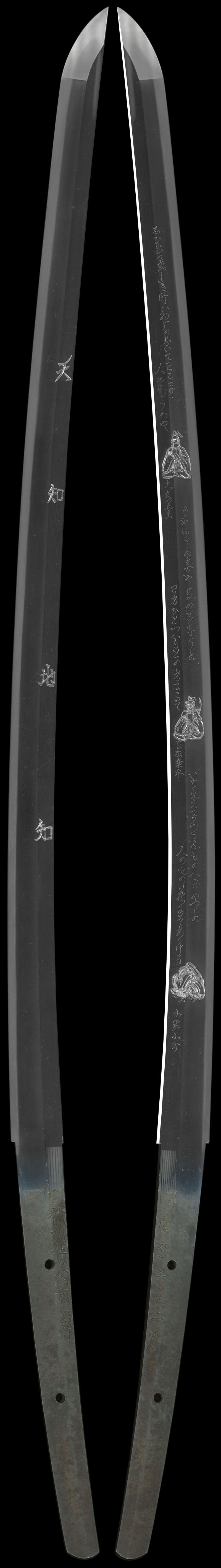 全体画像