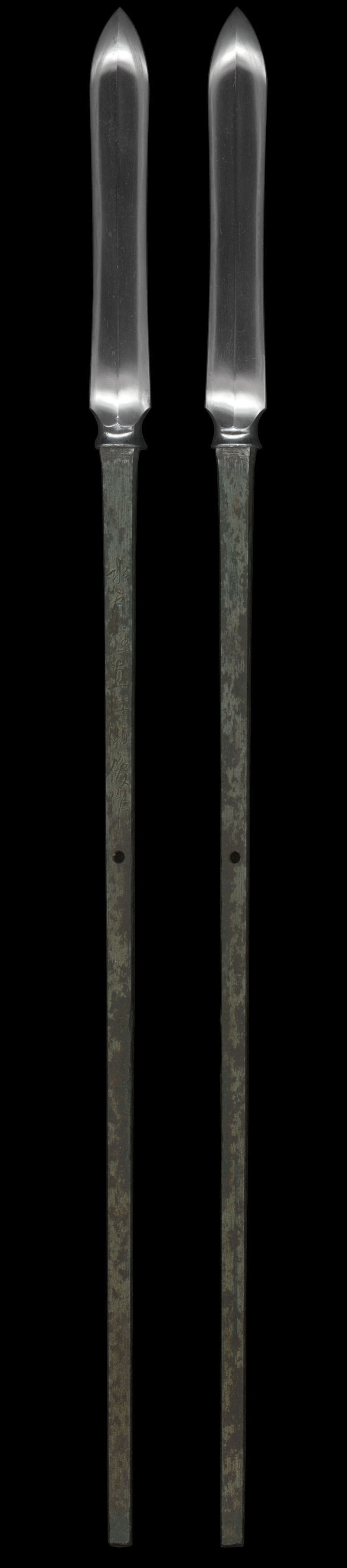 全体画像
