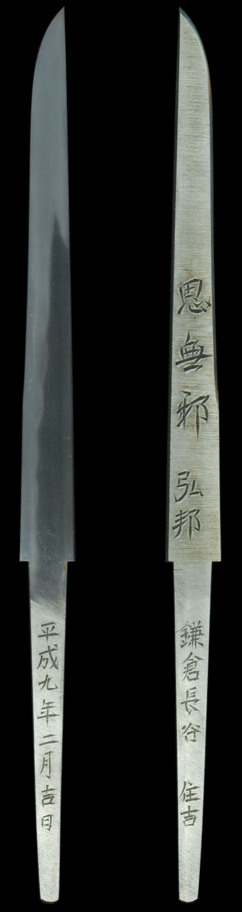 全体画像