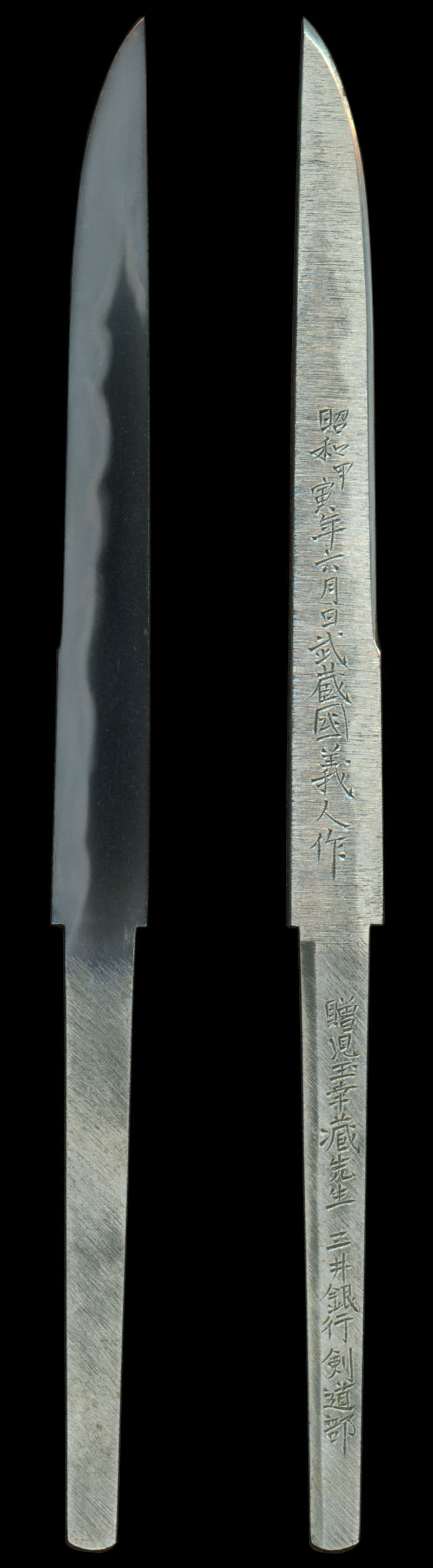全体画像